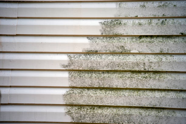 Best Fascia and Soffit Installation  in Lyons, NJ