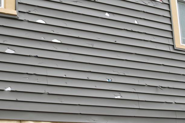 Best Steel Siding Installation  in Lyons, NJ