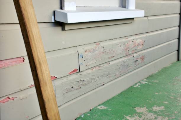 Best Stucco Siding  in Lyons, NJ